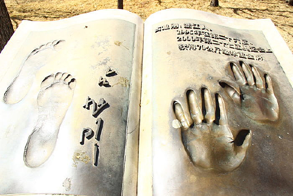 ¬����ֽ�ӡ