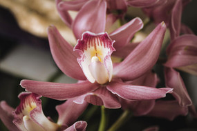 ïʢ������