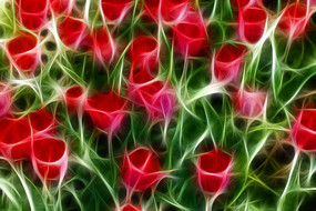 �λ������㻨��