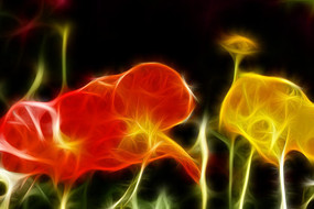 �λ�������