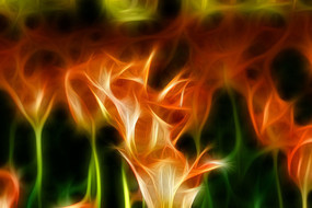 �λ�����ۻ�Ա������