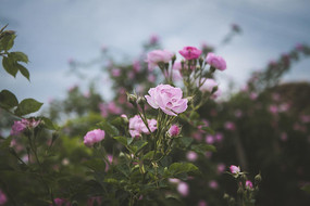 ʢ�����¼�