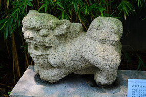 ʨ�ӵĵ�̹���