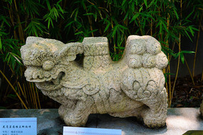 ʨ�ӵ�̹���