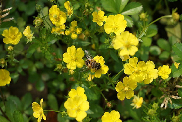 С�ƻ��ϵ��۷�