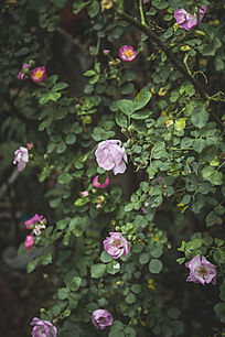 �¼�����