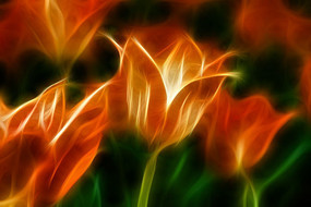 ����ۻ�Ա������