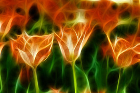 ����ۻ�Ա�����㻨��