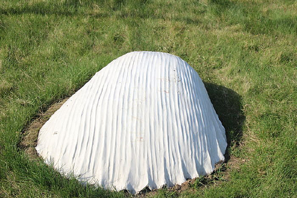 ���ǵ���