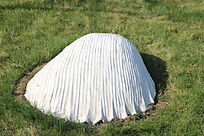 ���ǵ���