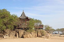 ������ͤ