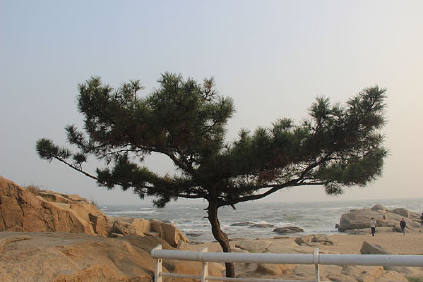 ���ߵ�����