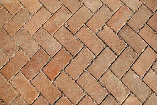 ��ש����