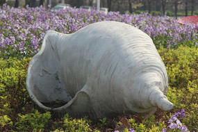 �����еĺ���