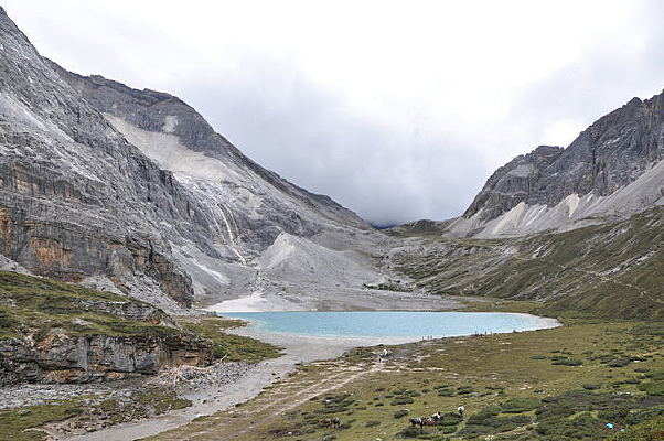 ţ�̺�����