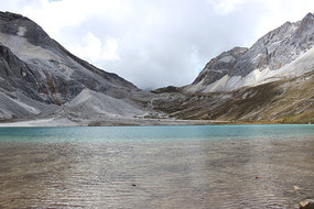 Ψ��ţ�̺�����