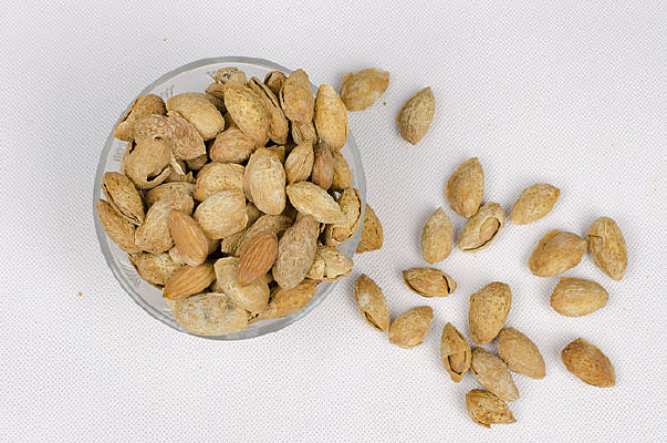 �½��͵�ľ�ɹ�