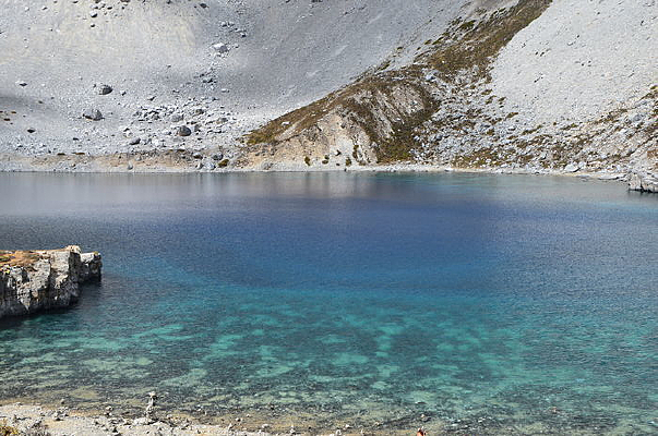 �Ƕ�ţ�̺�����