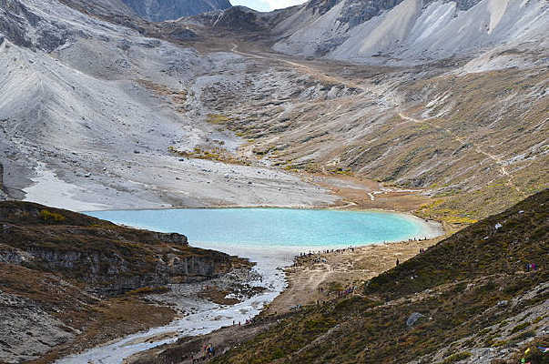 �Ƕ�ţ�̺�ͼƬ