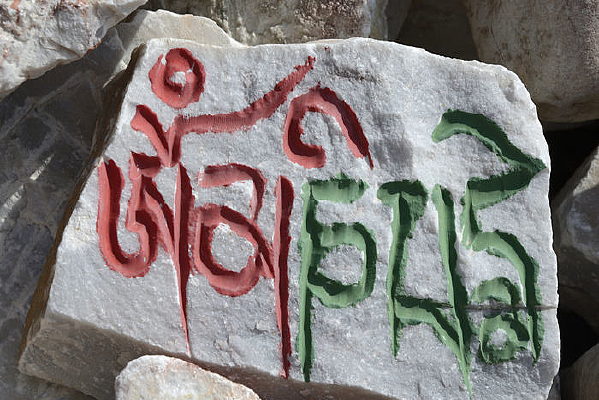 ���ı���