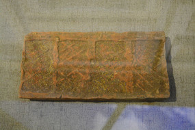 ������ש