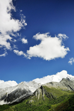 ���������·羰