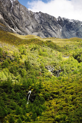 ���������¾���