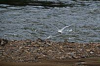 �ӱ�����