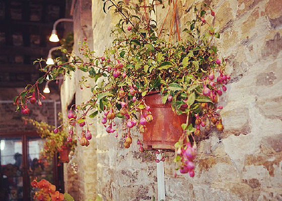 ������Ӱ