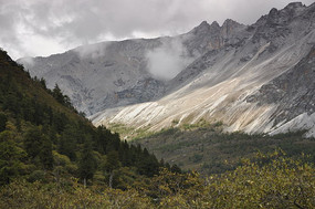 Ψ�������¾���