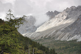 Ψ�������¾���