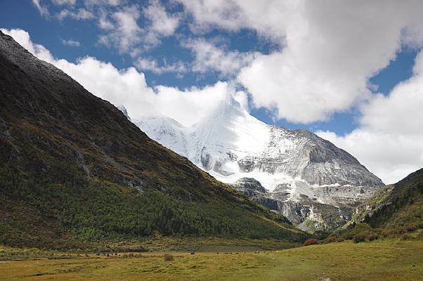 Ψ������������