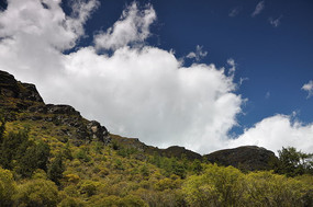 Ψ������������