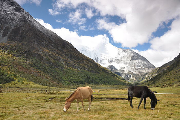 Ψ���������㾰