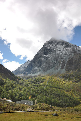 Ψ������������