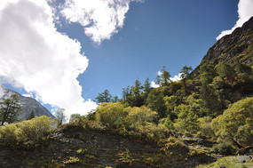 Ψ������������