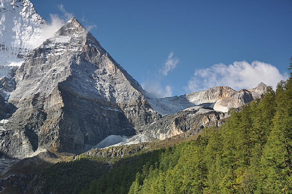 ����������