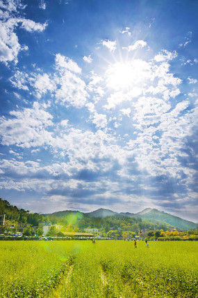 �����µ��Ͳ˻���