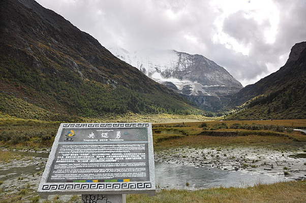 �����º���