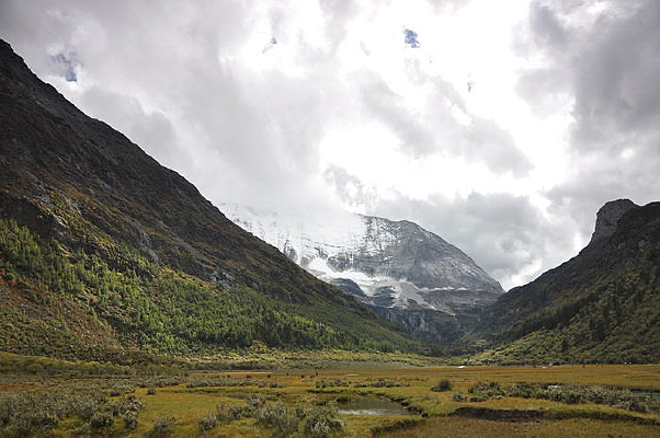 ����������