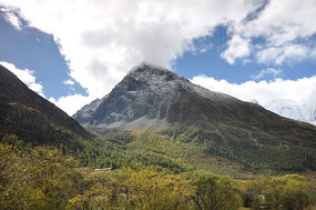 �����Ƕ�������