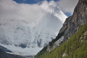 ���������¾���