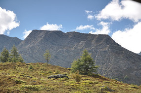 ���������¾���