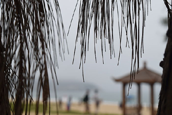 բ������Ӱ