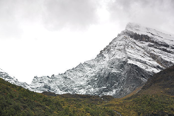 �����Ƕ�������