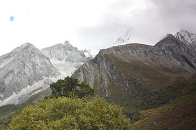 ���������¾���