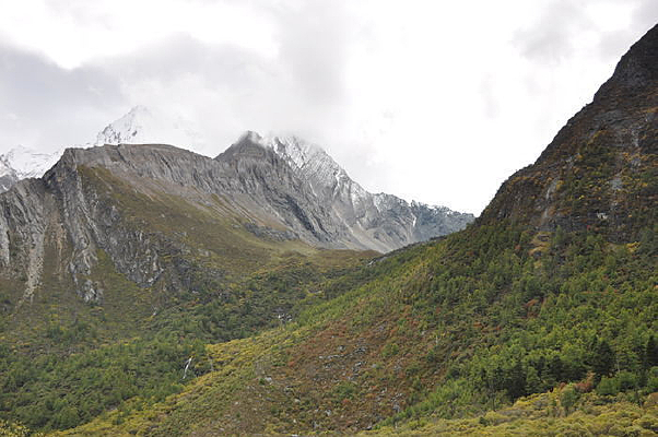 ���������¾���