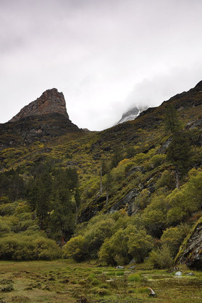 ������������Ӱ