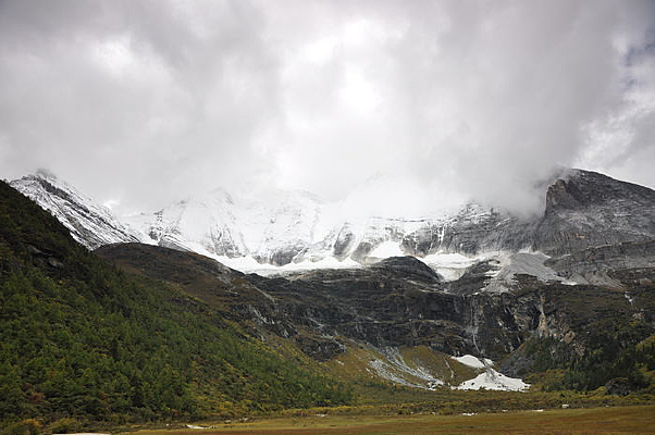 ����������ͼƬ