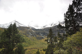 ��������������